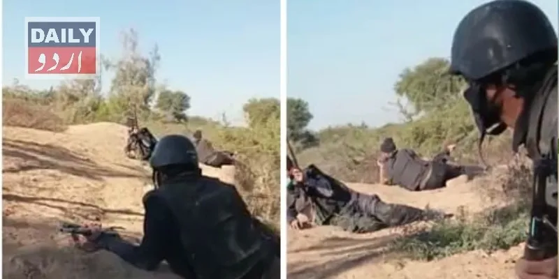 دہشتگردی