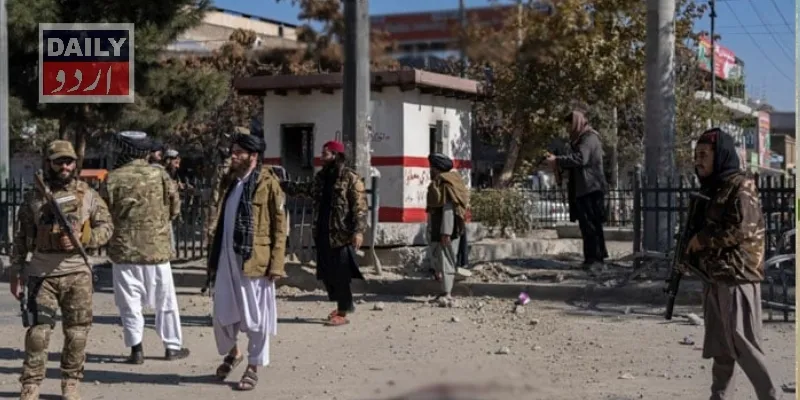 دہشتگردی