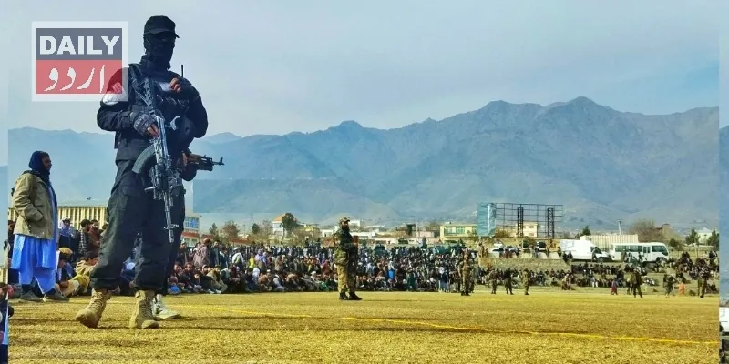 کرائمز