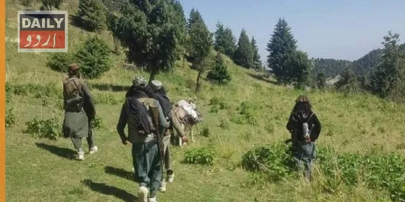 بین الاقوامی