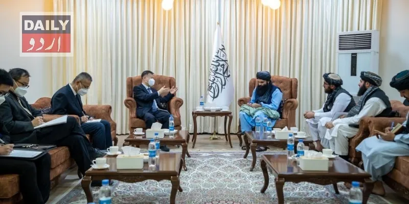 کاروبار