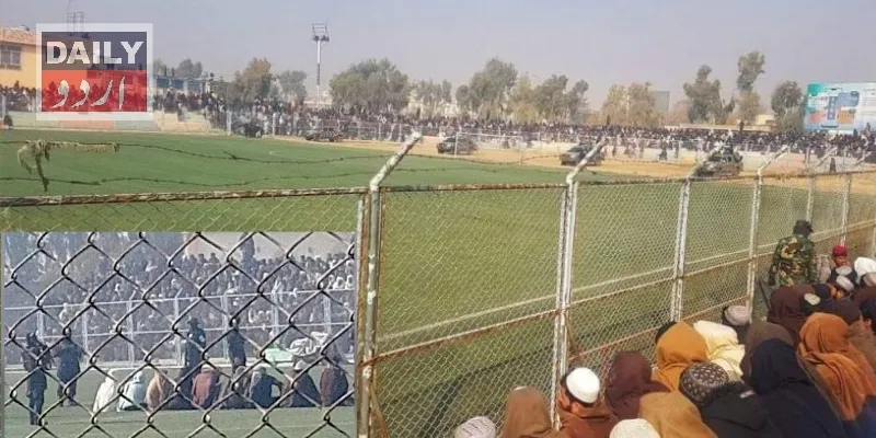 کورٹس