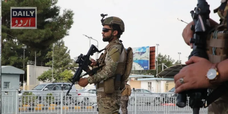 کرائمز