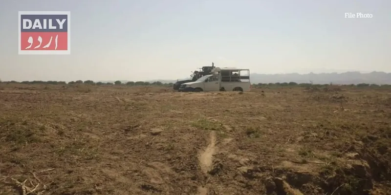 دہشتگردی