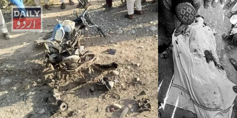 دہشتگردی