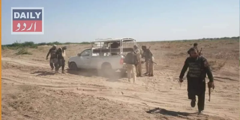 دہشتگردی