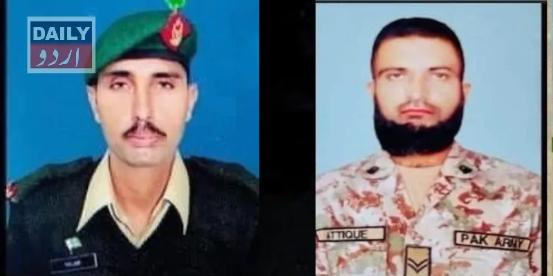 دہشتگردی