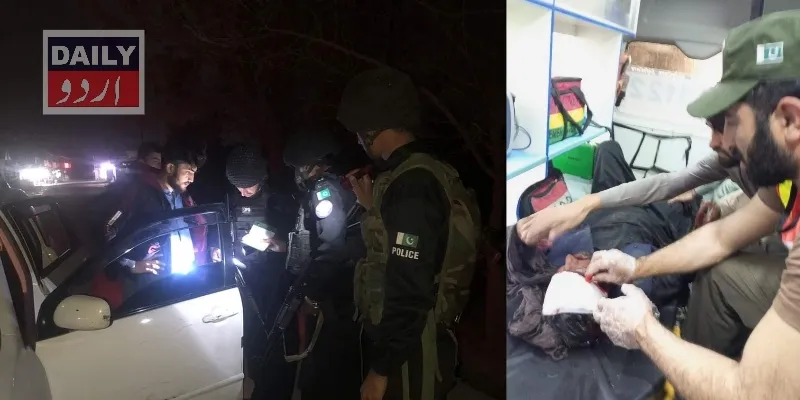 دہشتگردی
