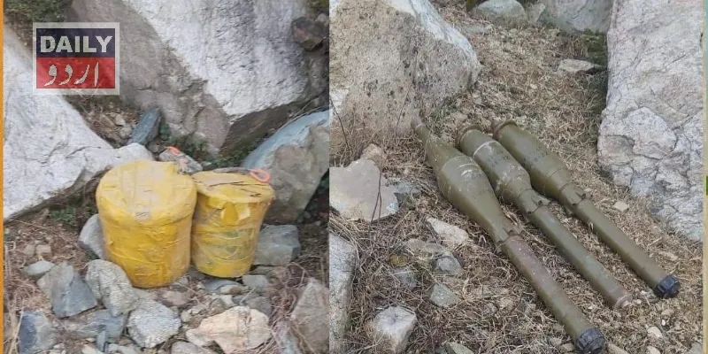 دہشتگردی