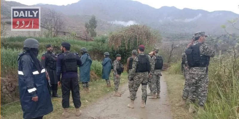 دہشتگردی