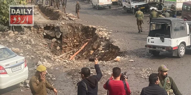 دہشتگردی