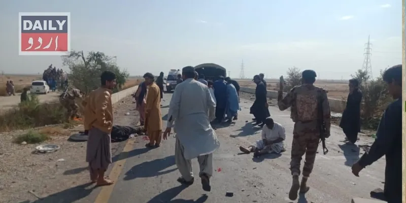 دہشتگردی