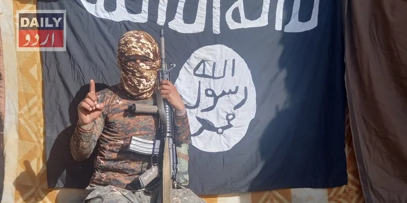 دہشتگردی