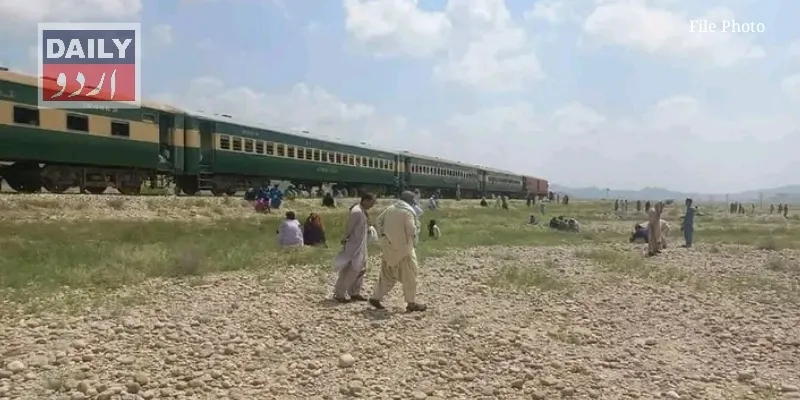 دہشتگردی