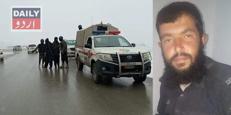 دہشتگردی