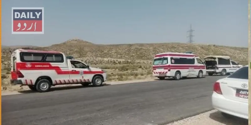 دہشتگردی