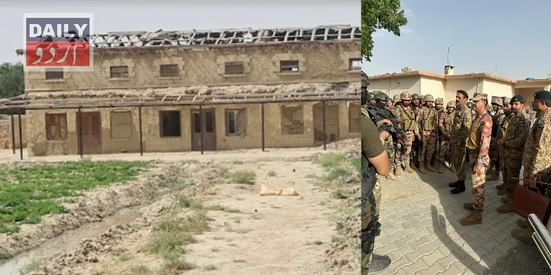 دہشتگردی