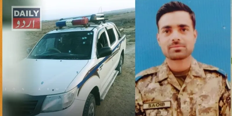 دہشتگردی