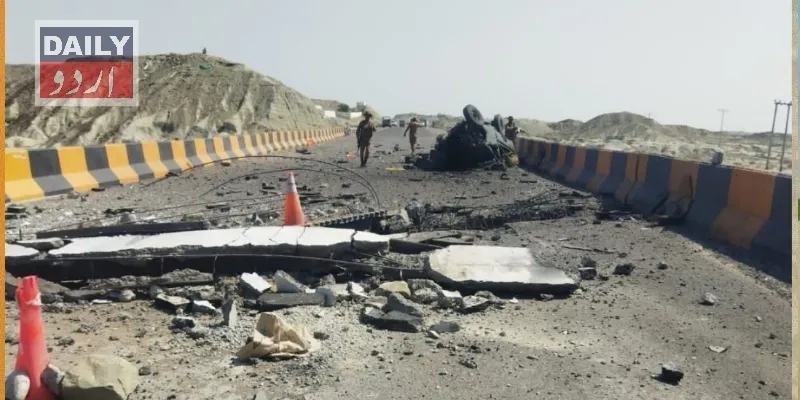 دہشتگردی