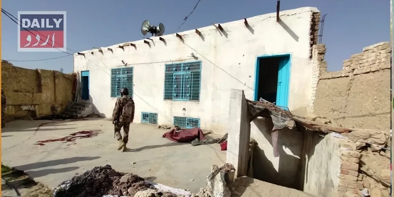 دہشتگردی
