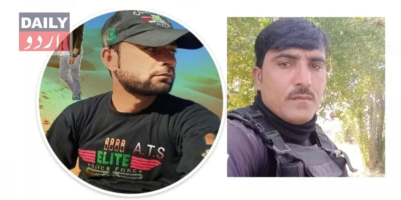 دہشتگردی