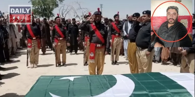 دہشتگردی