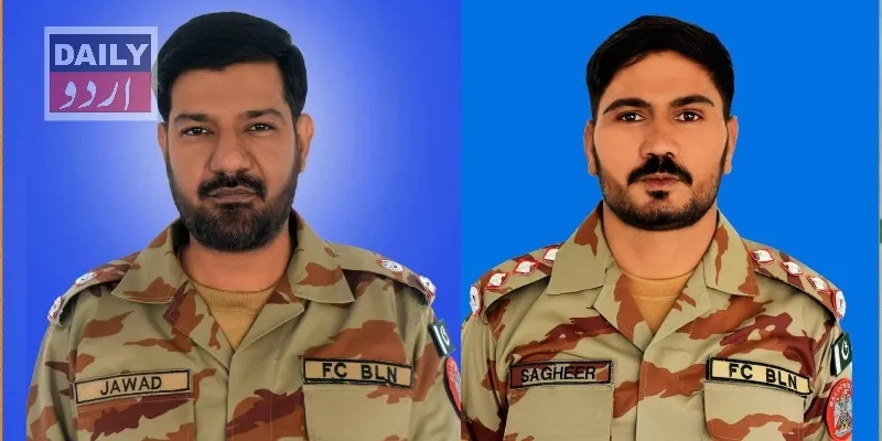 دہشتگردی