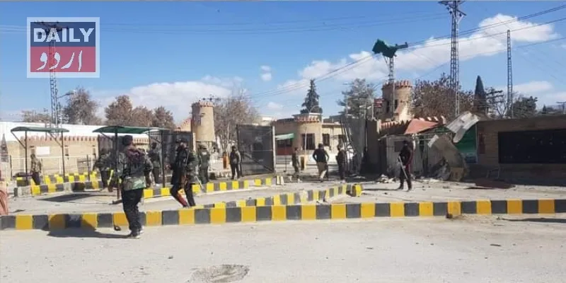 دہشتگردی