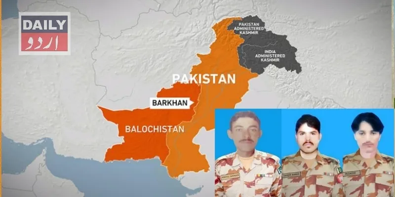 دہشتگردی