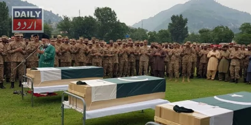 دہشتگردی
