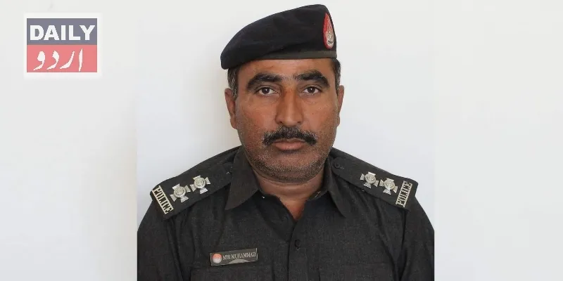 دہشتگردی