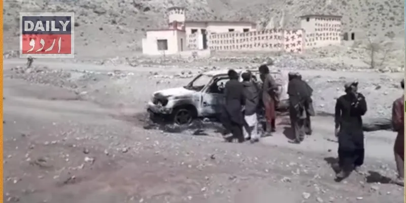 دہشتگردی