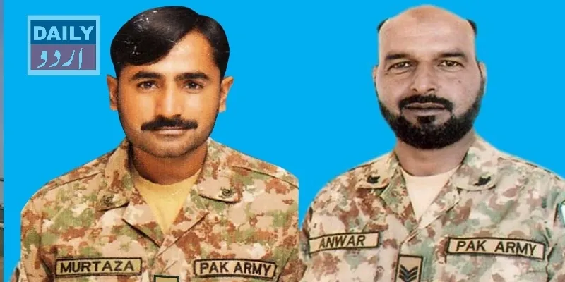 دہشتگردی