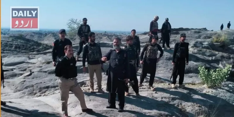 دہشتگردی