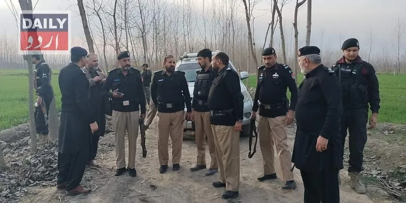 دہشتگردی