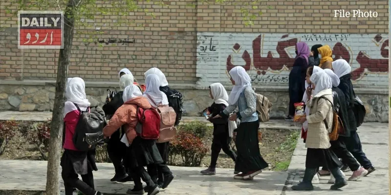 کرائمز