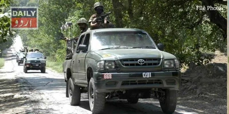 دہشتگردی