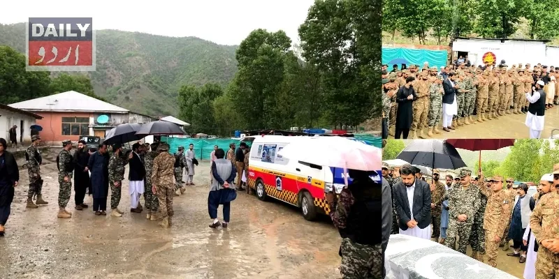 دہشتگردی