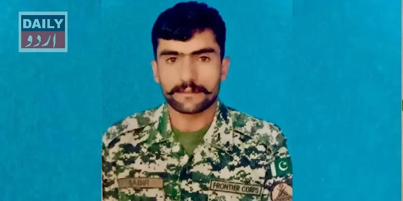 دہشتگردی