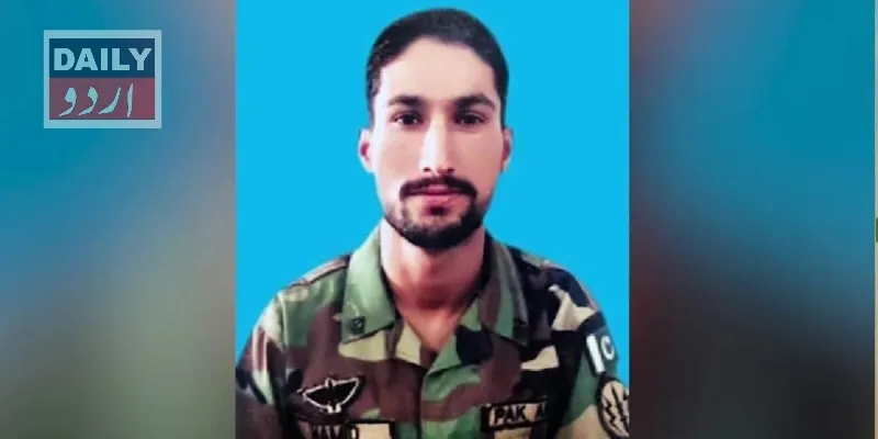 دہشتگردی