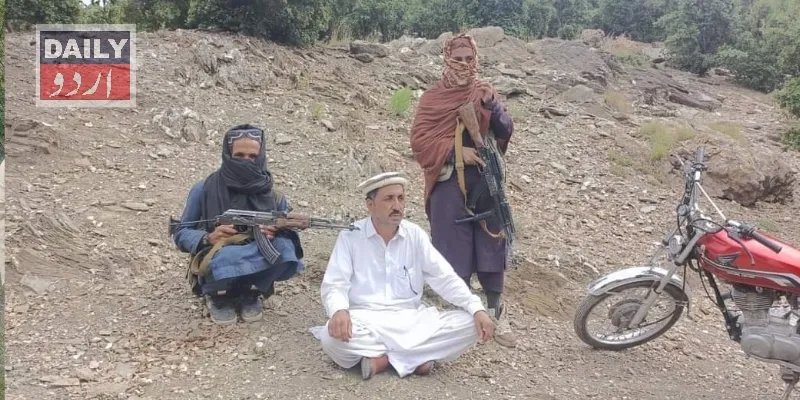 دہشتگردی