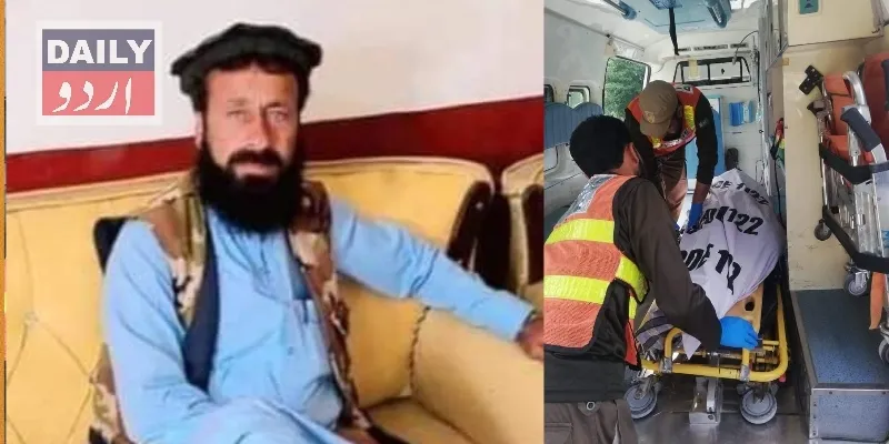 دہشتگردی