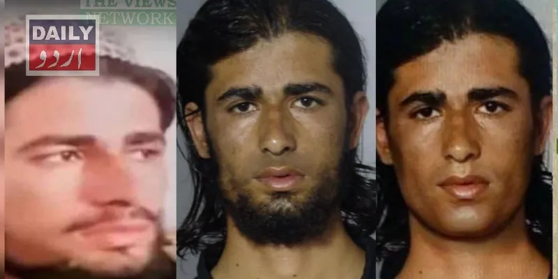 دہشتگردی