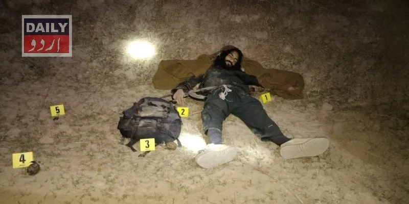 دہشتگردی