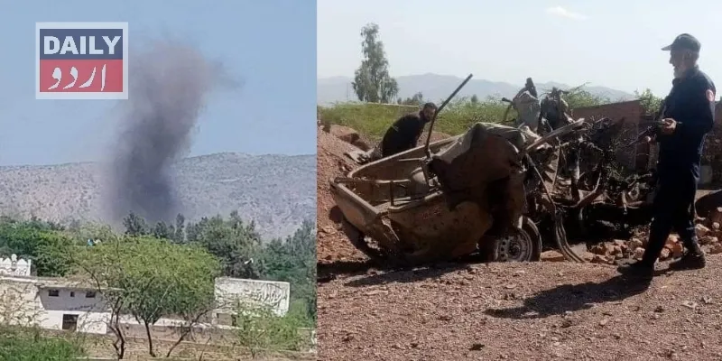 دہشتگردی