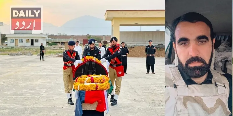 دہشتگردی
