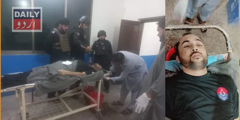 دہشتگردی