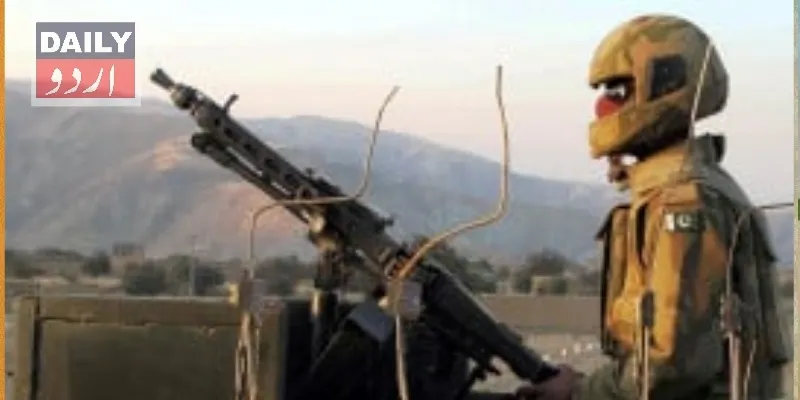 دہشتگردی