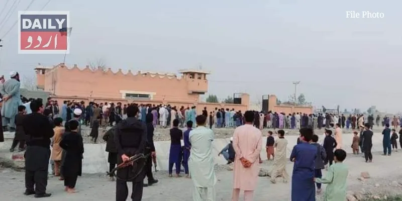 دہشتگردی