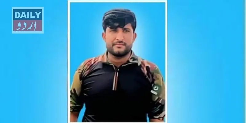 دہشتگردی
